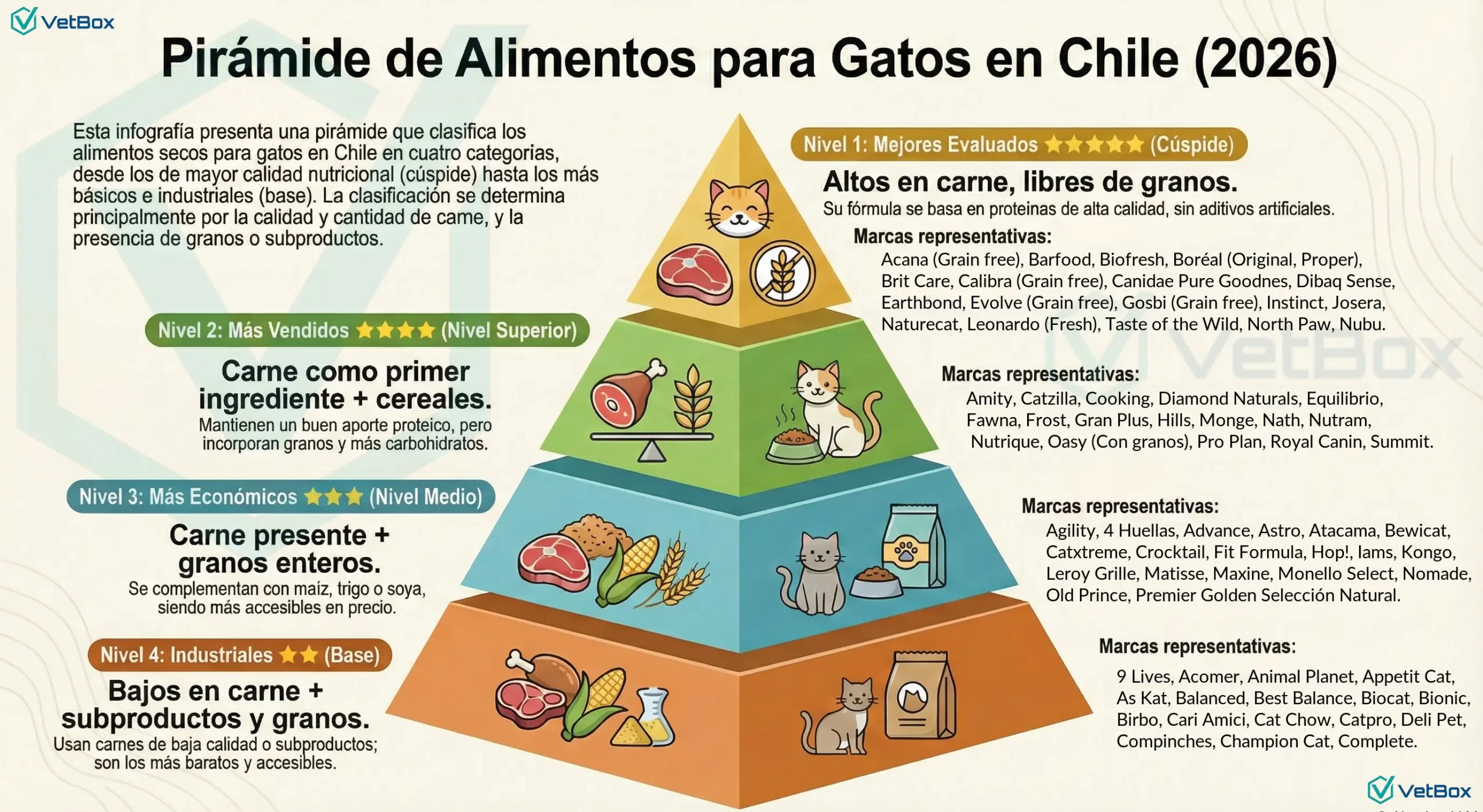afiche pirámide de alimentos para gatos 2026