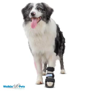 Walkin’ Bootie Splint (Férula de Bota Corta) – Protección de Dedos y Pata