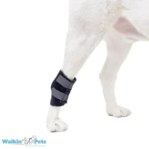 Walkin’ Hock Wrap (Venda de Corvejón/Tarso) – Soporte Ligero Perros