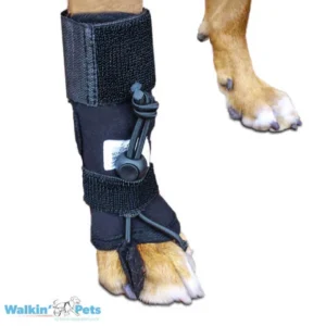Corrector Propioceptivo Perros y Gatos – Pata Delantera (No-Knuckling Training Sock)