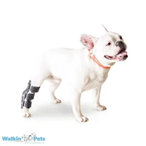 Walkin’ Hock Splint (Férula de Corvejón/Tarso) – Pata Libre