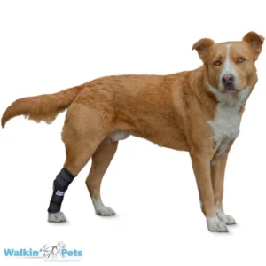 Soporte de Tarso/Corvejón para Perros – Walkin’ Hock Hugger