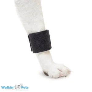 Walkin’ Wrist Wrap (Venda de Muñeca/Carpo) – Soporte Ligero Perros