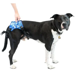 Arnés de Soporte Trasero Buddy Up (Walkin' Pets) – Levante y Movilidad