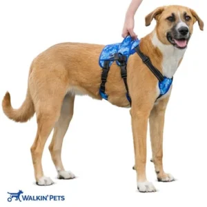 Arnés de Soporte Delantero Buddy Up (Walkin’ Pets) – Levante y Movilidad