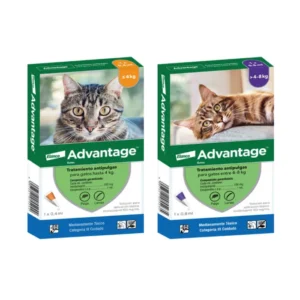 Advantage Gatos – Pipeta Antipulgas
