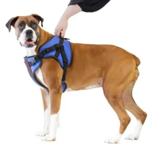 Walkin' Lift - Combo Arnés de Soporte Delantero para Perros