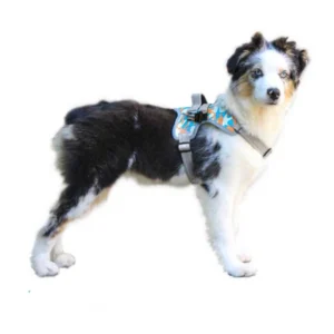 Walkin’ Pets – Arnés Delantero Camuflado de Soporte (Tallas S-XL)
