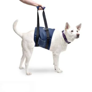 Walkin’ Pets – Cabestrillo de Apoyo para Rehabilitación Canina