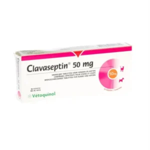 Clavaseptin 50 mg | Amoxicilina para Gatos y Perros – 10 Comprimidos