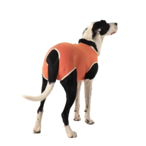 Kimba Body Postquirúrgico Cobre – Castración Perros Machos