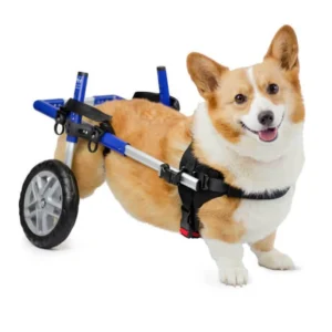 Silla de Ruedas para Perros Corgi (Modelo Especial ) – Walkin’ Wheels