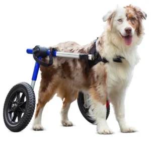 Silla de Ruedas para Perros Medium/Large – Walkin’ Wheels