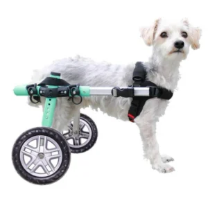 Silla de Ruedas para Perros Pequeños (Talla Small) – Walkin’ Wheels
