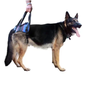 Walkin’ Lift – Combo Arnés de Soporte Trasero para Perros