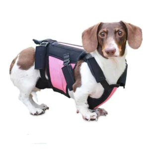 Walkin’ Pets vertebraVe – Soporte de Columna para Perros