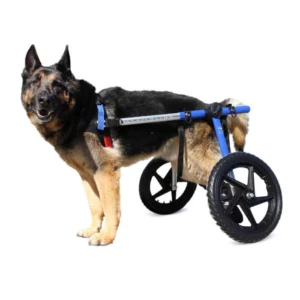 Silla de Ruedas para Perros Grandes (Talla Large) Walkin’ Wheels