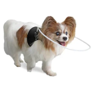 Arnés para Perros Ciegos – Collar con Halo Walkin’ Pets